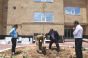 رئیس و کارکنان دانشگاه جامع علمی کاربردی استان مرکزی در محیط این دانشگاه به کاشت درخت پرداختند