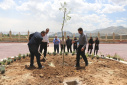 رئیس و کارکنان دانشگاه جامع علمی کاربردی استان مرکزی در محیط این دانشگاه به کاشت درخت پرداختند
