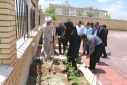 رئیس و کارکنان دانشگاه جامع علمی کاربردی استان مرکزی در محیط این دانشگاه به کاشت درخت پرداختند