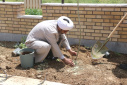 رئیس و کارکنان دانشگاه جامع علمی کاربردی استان مرکزی در محیط این دانشگاه به کاشت درخت پرداختند